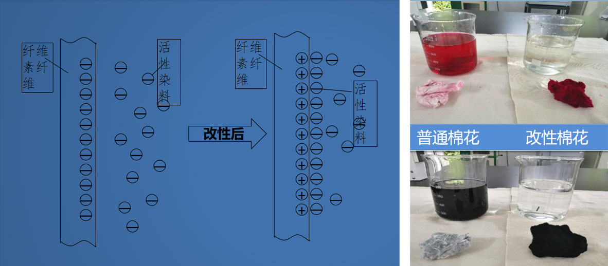阳离子改性纤维