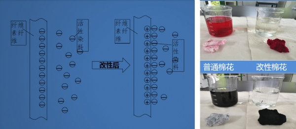 阳离子改性纤维