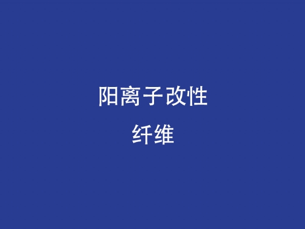 阳离子改性纤维